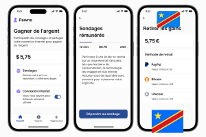 comment gagner de l'argent en ligne en rdc